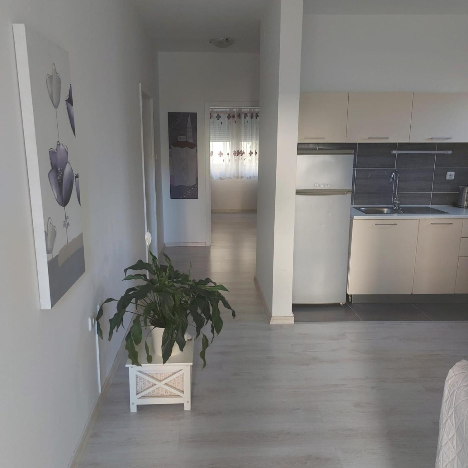 Martina Sun Apartment Zadar Bagian luar foto